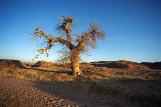 Mongolia weather forecast