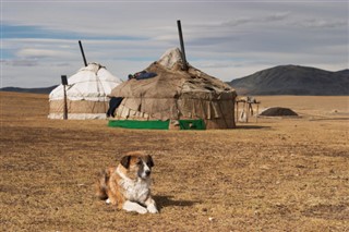 Mongolia weather forecast