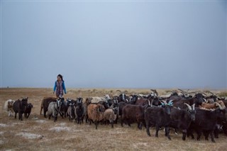 Mongolia weather forecast