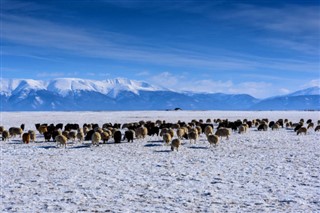 Mongolia weather forecast