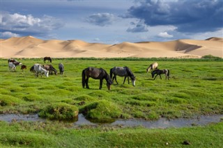 Mongolia weather forecast