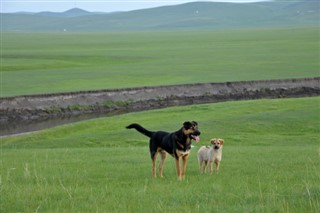 Mongolia weather forecast