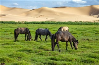 Mongolia prognoza pogody