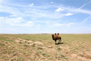 Mongolia weather forecast