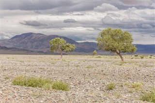 Mongolia weather forecast