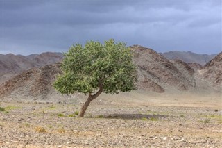 Mongolia weather forecast