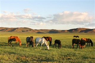 Mongolia weather forecast