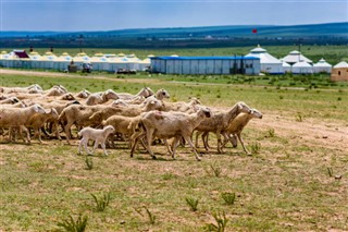 Mongolia weather forecast