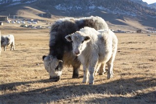 Mongolia pronóstico del tiempo