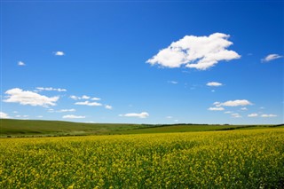 Mongolia weather forecast