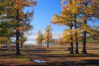 Mongolia weather forecast