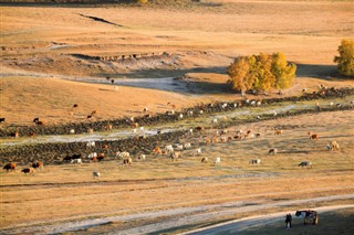 Mongolia weather forecast