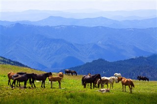 Mongolia weather forecast