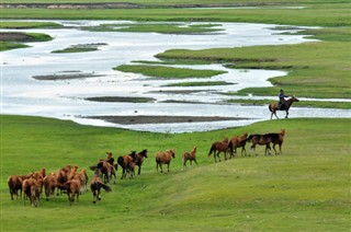 Mongolia weather forecast