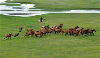 Mongolia weather forecast