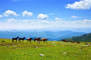 Mongolia weather forecast