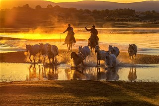 Mongolia weather forecast