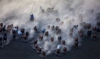 Mongolia weather forecast