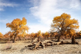 Mongolia weather forecast