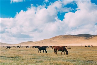 Mongolia weather forecast