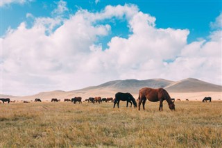 Mongolia weather forecast