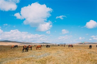 Mongolia weather forecast