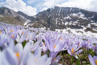 Montenegro weather forecast