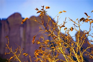 Montserrat weather forecast