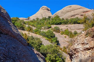 Montserrat weather forecast