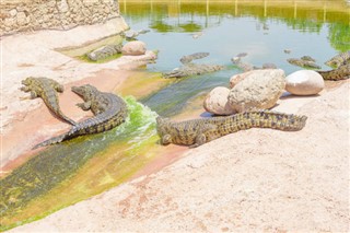 Marruecos pronóstico del tiempo