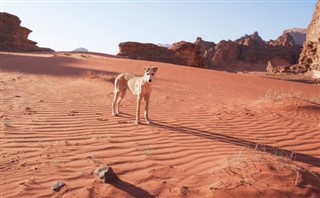 Morocco weather forecast