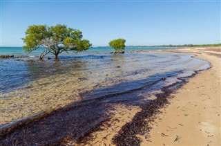 Mozambique weather forecast