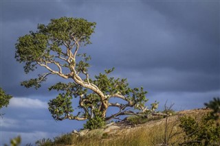 Mozambique weather forecast