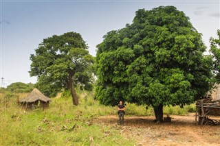 Mozambique weather forecast