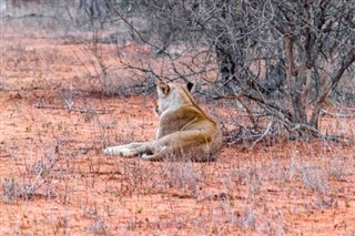 Mozambik prognoza pogody