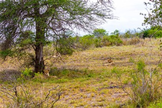 Mozambique weather forecast