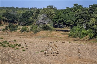 Mozambique weather forecast