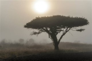 Mozambique weather forecast