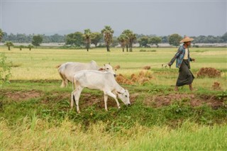 Burma - Myanmar weather forecast