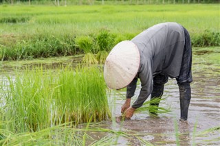 Burma - Myanmar weather forecast