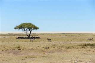 Namibia weather forecast