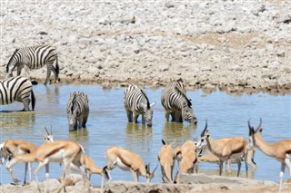 Namibia weather forecast