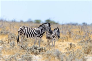 Namibija vremenska prognoza