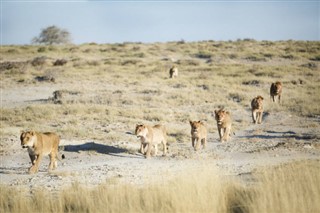 Namibia weather forecast