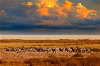 Namibia weather forecast