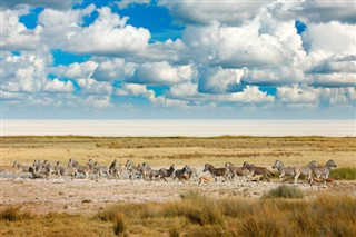 Namibia weather forecast