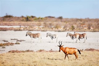 Namibia weather forecast