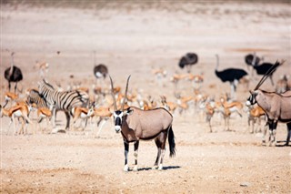 Namibia weather forecast