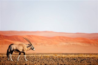 Namibia weather forecast