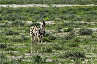 Namibia prognoza pogody